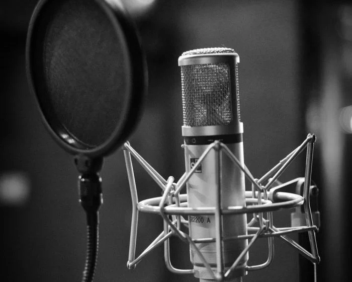 Elevenlabs AI Voice Generation