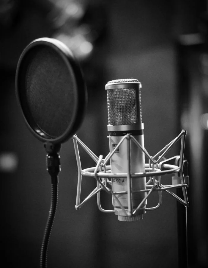 Elevenlabs AI Voice Generation