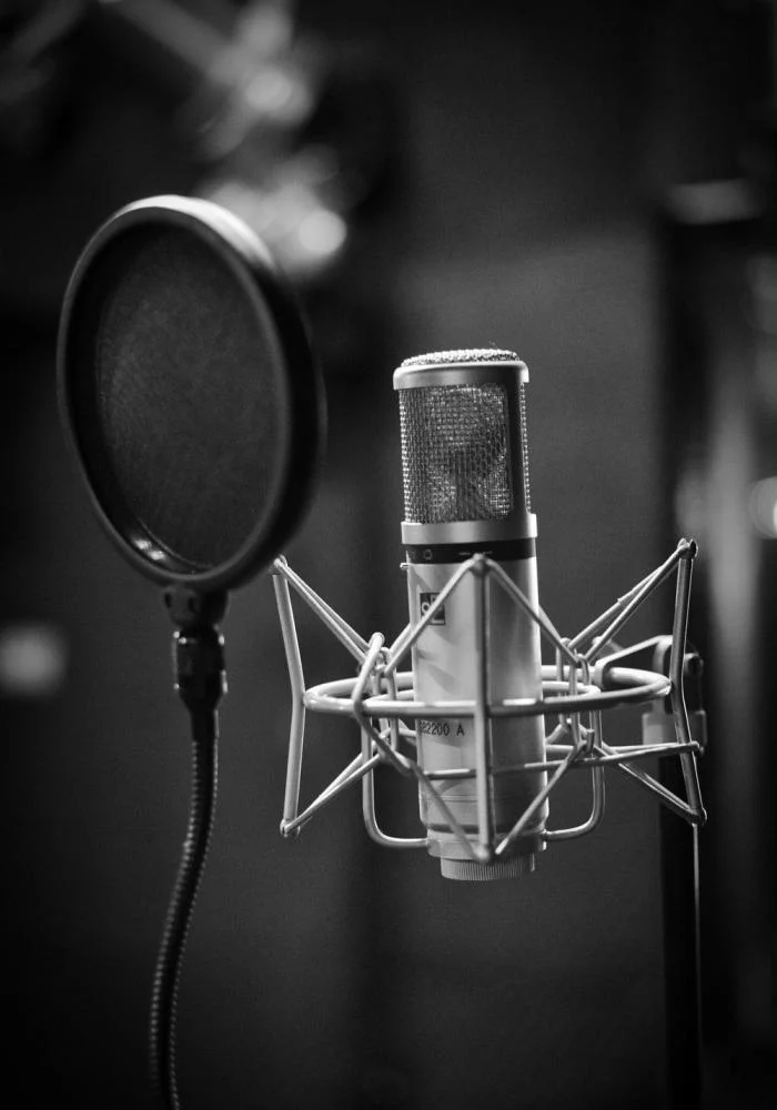 Elevenlabs AI Voice Generation - Elevenlabs AI Voice Generation