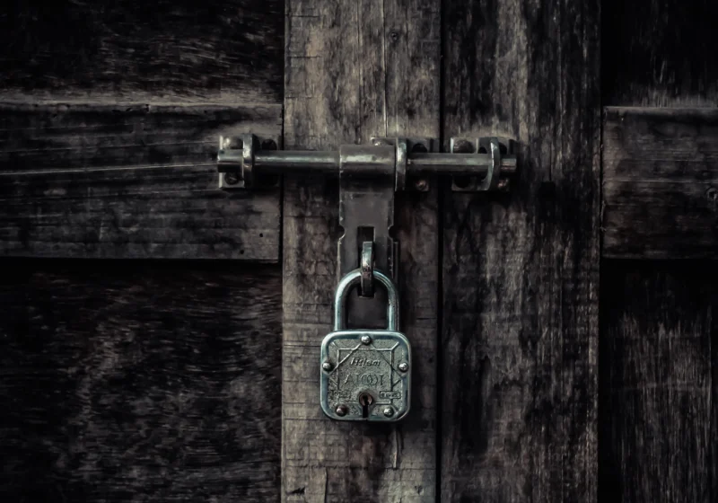 Free to use via Pexels (photo ID 16143718)
