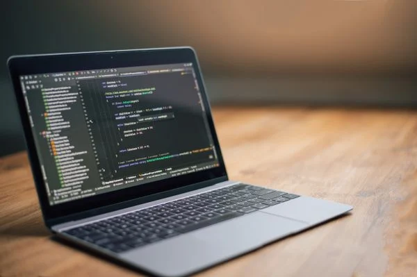 Python Whats It Matters - Python Whats It Matters - Photo via Pexels (free to use)
